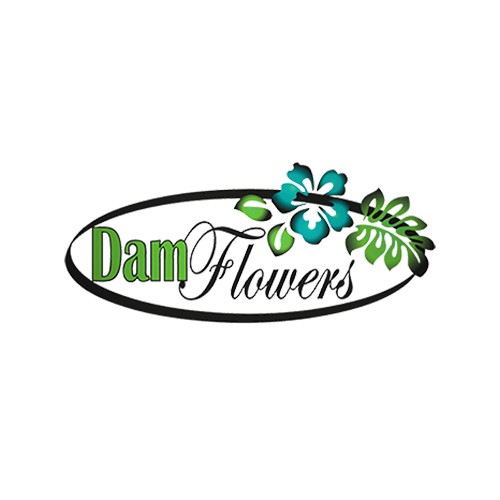 media/image/LEI_logo_Damflowers.jpg